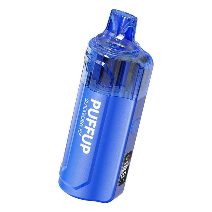 Puffup 25K 25,000 puff disposable vape with visible e-juice tank and easy-to-use design – buy disposable vape online