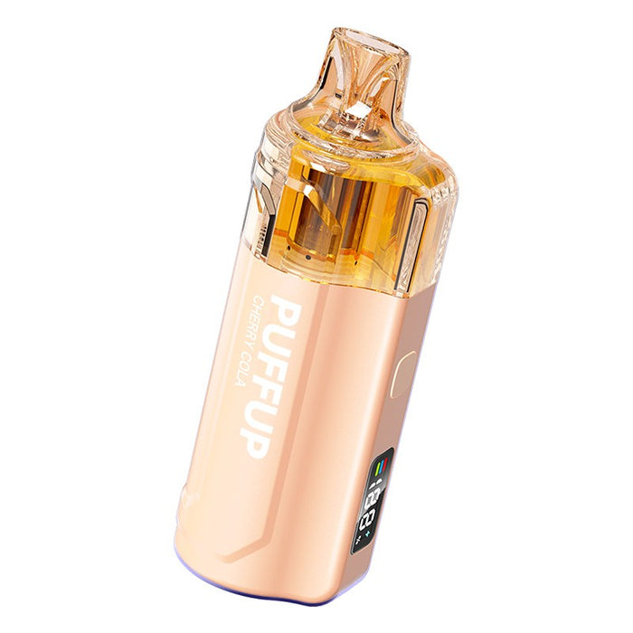 Puffup 25K disposable vape in Blackberry Ice flavor – best beginner-friendly disposable vape in the USA