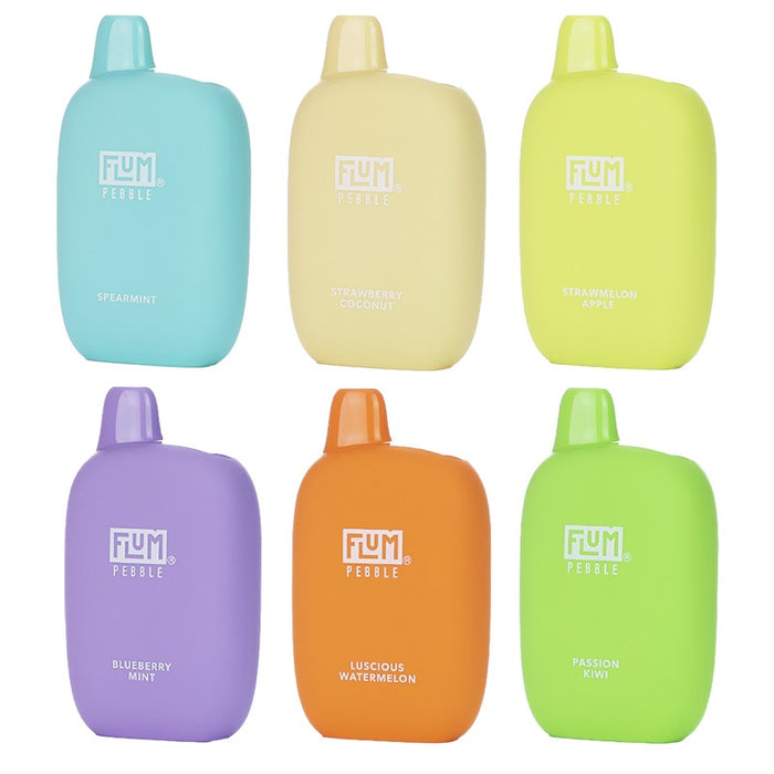 Flum Pebble Disposable Vape with 6000 puffs, 14ml pre-filled salt nicotine e-juice, and 600mAh rechargeable battery at VapeNear online vape shop.
