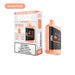 Affordable RAZ DC25000 – Great Value for Money with 25000 Puffs at VapeNear.