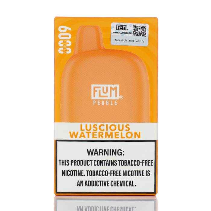 Flum Pebble 6000 Disposable Vape with 14ml pre-filled e-juice and 600mAh battery, available at VapeNear online vape shop.